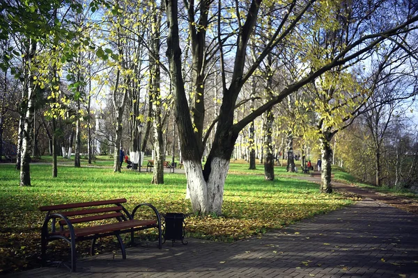 Осінній Сезон Пейзаж Парку Вид Жовті Дерева Алея Фону — стокове фото