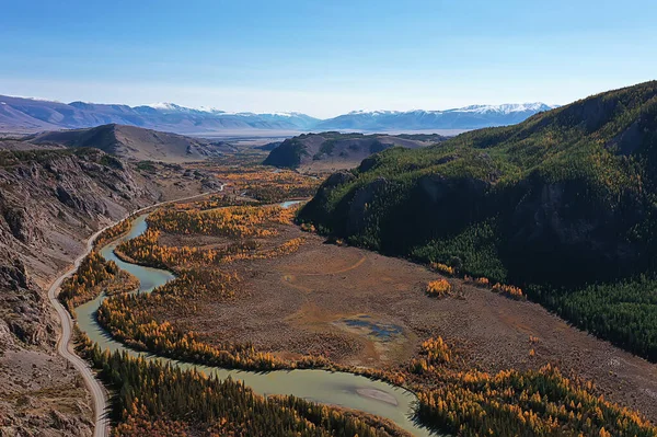 Landskap Altai Ryssland Höst Ovanifrån Drönare Över Skogen — Stockfoto