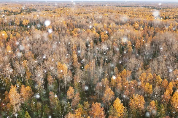 Herfst Panorama Drone Landschap Herfst Natuur Top Uitzicht — Stockfoto