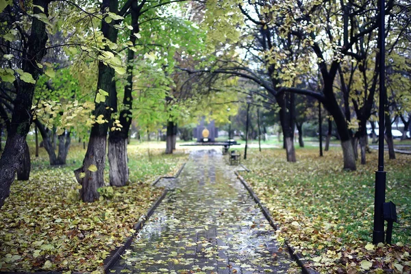 Podzimní Sezóna Krajina Parku Pohled Žluté Stromy Pozadí — Stock fotografie