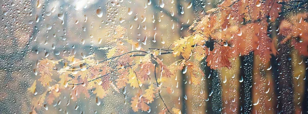 坏天气雨风 秋季概念背景 — 图库照片