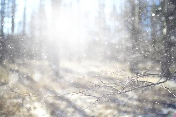 Prima Neve Nel Parco Astratto Nuovo Anno Vista — Foto Stock