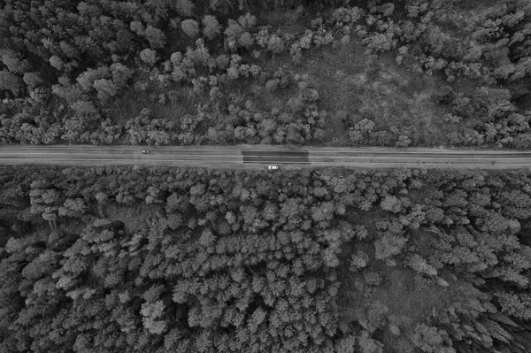 Autumn Road Top View Landscape Autumn Drone — Stock Photo, Image