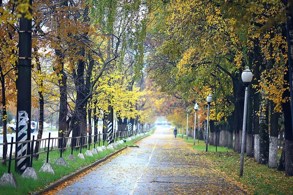 Otoño Estación Paisaje Parque Vista Los Árboles Amarillos Callejón Fondo — Foto de Stock