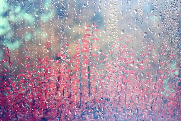 Regentropfen Auf Glas Blick Durch Das Fenster Landschaft Herbstwald Park — Stockfoto