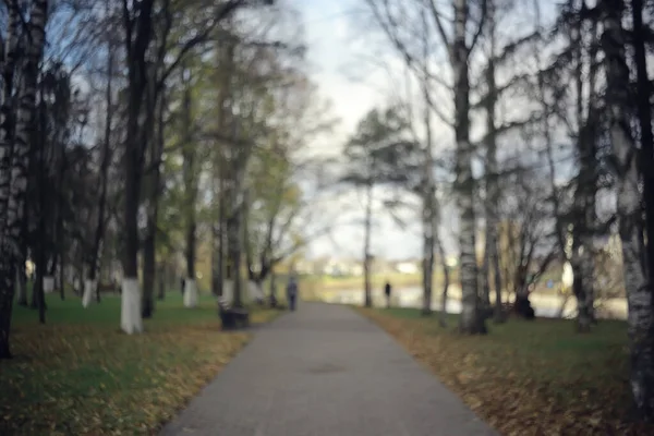 公園の秋の風景黄色の木々の路地裏の風景 — ストック写真