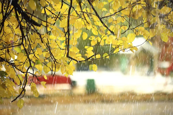 Bad Weather Rain Wind Autumn Concept Background — Stock Photo, Image