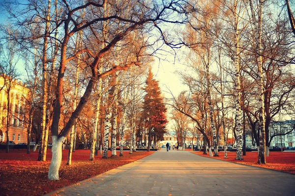 Otoño Estación Paisaje Parque Vista Los Árboles Amarillos Callejón Fondo — Foto de Stock