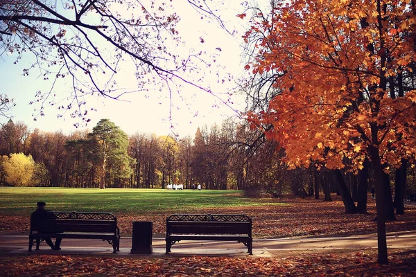 Efterårssæsonen Landskab Parken Udsigt Gule Træer Gyde Baggrund - Stock-foto
