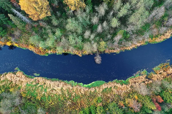 Landscape Top View River Autumn Forest Drone Beautiful Journey — Stock Photo, Image