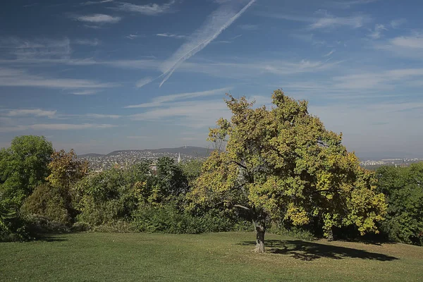 Herbst Park Der Stadt Hintergrundlandschaft Abstrakte Herbst Ansicht — Stockfoto