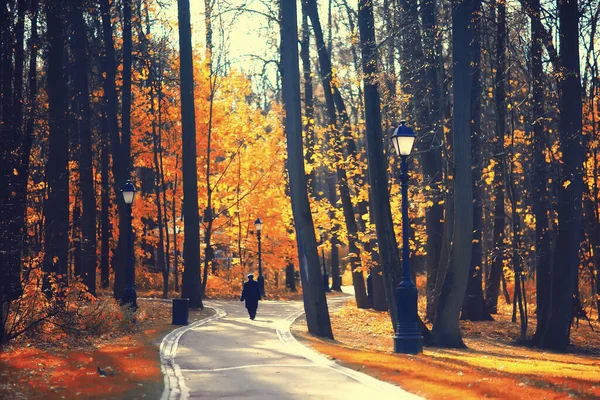 Autumn Season Landscape Park View Yellow Trees Alley Background — Stock Photo, Image