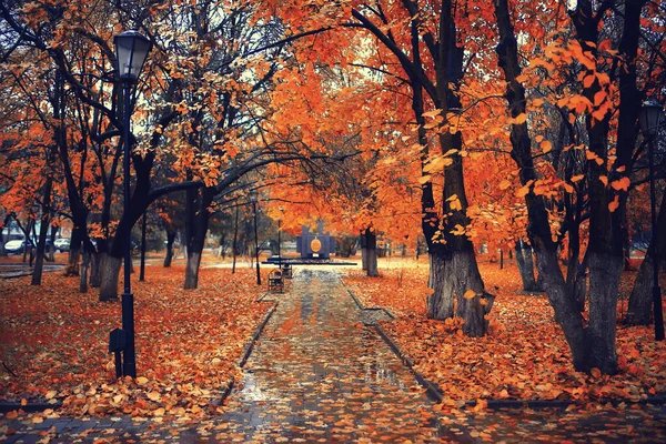 Outono Temporada Paisagem Parque Vista Das Árvores Amarelas Beco Fundo — Fotografia de Stock