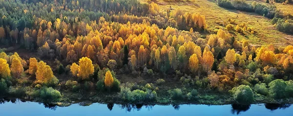 Paesaggio Vista Dall Alto Fiume Autunno Foresta Drone Bel Viaggio — Foto Stock