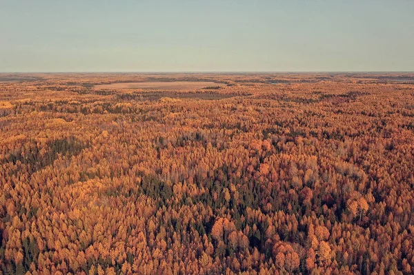 Φθινοπωρινό Δασικό Τοπίο Θέα Από Ένα Drone Εναέρια Φωτογραφία Δει — Φωτογραφία Αρχείου
