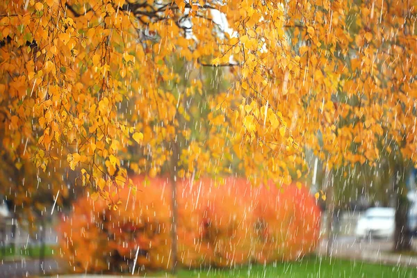 Плохая Погода Дождь Ветер Осенний Концепт Фон — стоковое фото