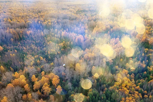 Paysage Forestier Automne Vue Depuis Drone Photographie Aérienne Vue Haut — Photo