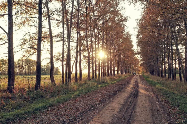 Vue Dessus Route Automne Paysage Automne Avec Drone — Photo