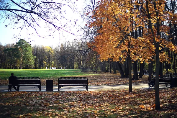 公園の秋の風景黄色の木々の路地裏の風景 — ストック写真