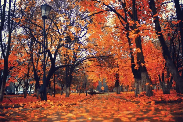 Осінній Сезон Пейзаж Парку Вид Жовті Дерева Алея Фону — стокове фото