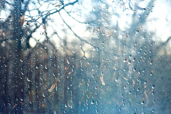 Gotas Lluvia Sobre Vidrio Vista Través Ventana Paisaje Bosque Otoño —  Fotos de Stock