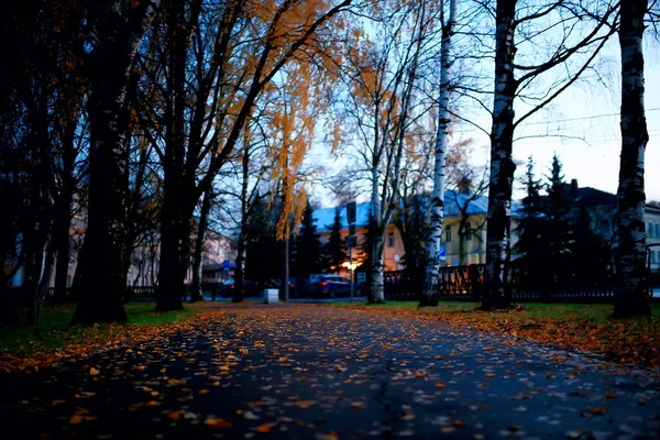 Пейзаж Осеннего Сезона Парке Вид Переулок Желтых Деревьев — стоковое фото