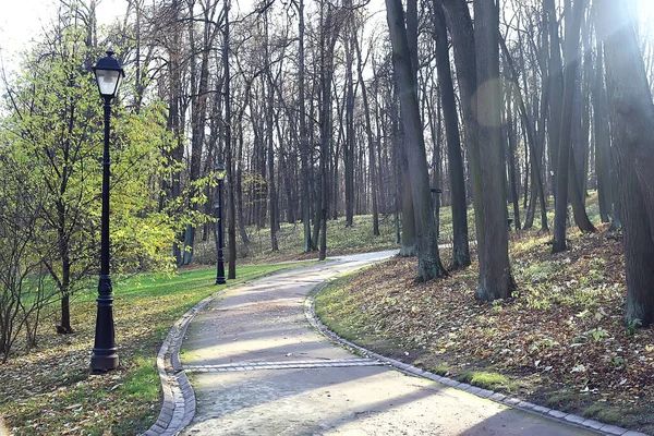 Őszi Évszak Táj Parkban Kilátás Sárga Fák Sikátor Háttér — Stock Fotó