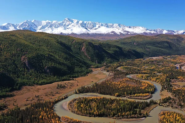 Landskap Altai Ryssland Höst Ovanifrån Drönare Över Skogen — Stockfoto