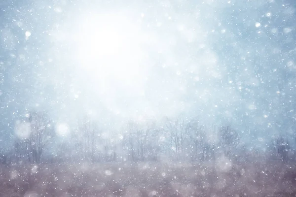公園の初雪抽象的な新年の風景 — ストック写真