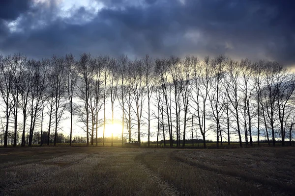 Drammatico Autunno Paesaggio Campo Cielo Astratto Concetto Tristezza — Foto Stock