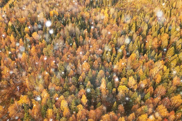 Podzimní Panorama Drone Krajina Podzim Příroda Top View — Stock fotografie
