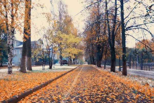 Otoño Estación Paisaje Parque Vista Los Árboles Amarillos Callejón Fondo — Foto de Stock