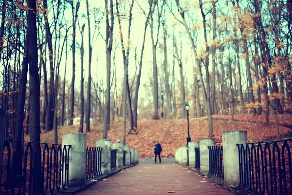 Autunno Stagione Paesaggio Parco Vista Alberi Gialli Vicolo Sfondo — Foto Stock