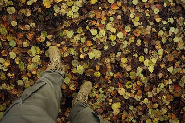 都市景観の秋の公園抽象的な秋の景色 — ストック写真