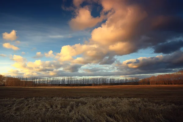 Dramático Outono Paisagem Campo Céu Abstrato Conceito Tristeza — Fotografia de Stock