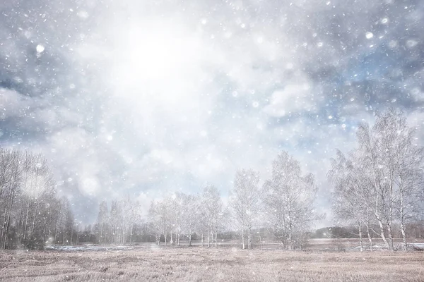 Primeira Neve Parque Abstrato Ano Novo Vista — Fotografia de Stock