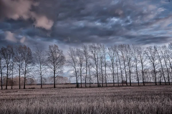 Dramatic Autumn Landscape Field Sky Abstract Concept Sadness — Stock Photo, Image