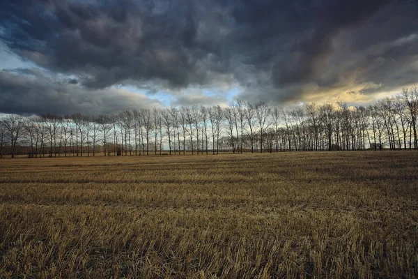 Dramatic Autumn Landscape Field Sky Abstract Concept Sadness — Stock Photo, Image