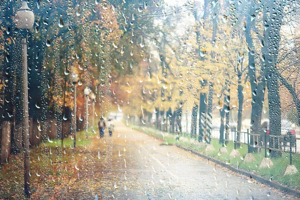 Krople Deszczu Szkle Widok Przez Okno Krajobraz Jesienny Las Park — Zdjęcie stockowe