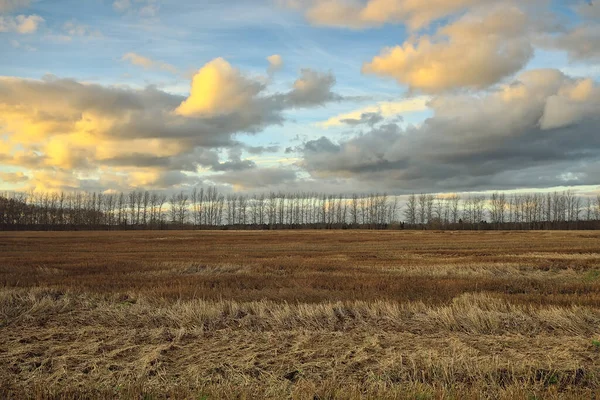 Dramatisch Herfst Landschap Veld Hemel Abstract Concept Verdriet — Stockfoto