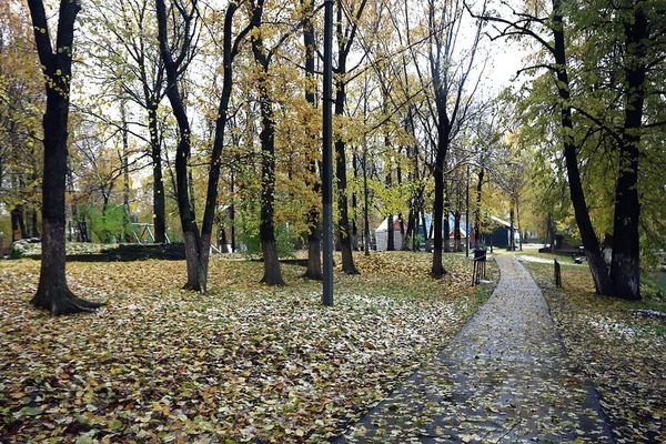 Herbst Saison Landschaft Park Blick Auf Gelbe Bäume Allee Hintergrund — Stockfoto