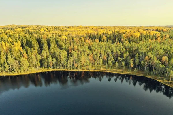 Τοπίο Top View Ποτάμι Φθινόπωρο Δάσος Drone Όμορφο Ταξίδι — Φωτογραφία Αρχείου