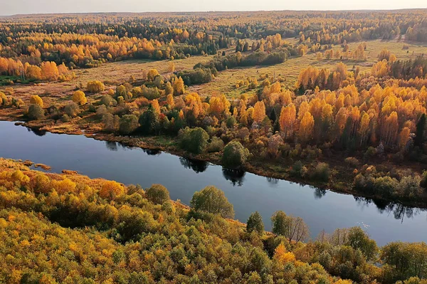 Krajina Pohled Shora Řeka Podzim Les Drone Krásná Cesta — Stock fotografie