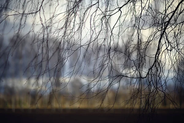劇的な秋の風景フィールドスカイ抽象的な概念悲しみ — ストック写真