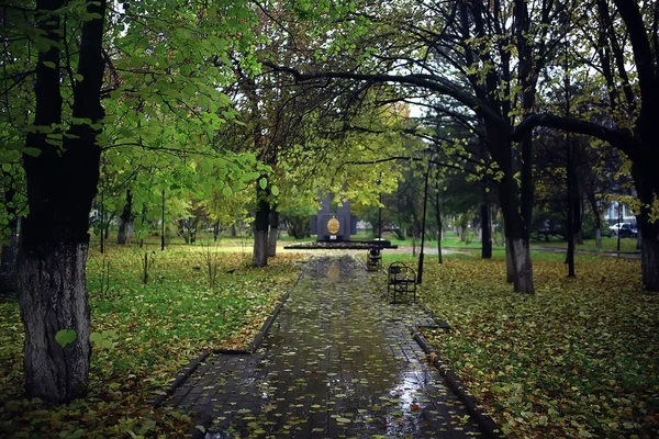 Outono Temporada Paisagem Parque Vista Das Árvores Amarelas Beco Fundo — Fotografia de Stock