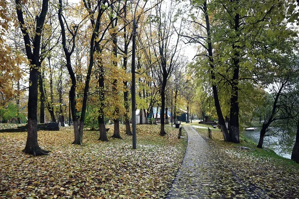 Jesień Sezon Krajobraz Parku Widok Żółte Drzewa Aleja Tło — Zdjęcie stockowe