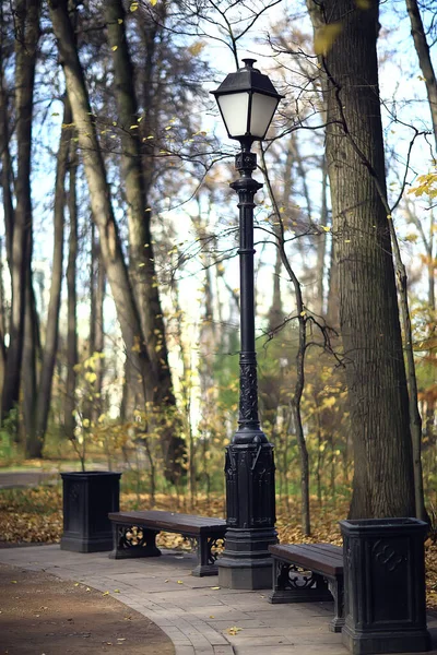 Outono Temporada Paisagem Parque Vista Das Árvores Amarelas Beco Fundo — Fotografia de Stock