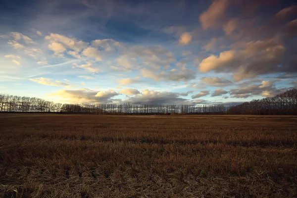 Drammatico Autunno Paesaggio Campo Cielo Astratto Concetto Tristezza — Foto Stock