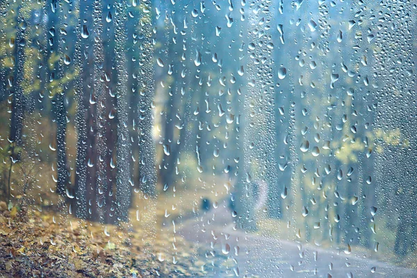 Gouttes Pluie Sur Verre Vue Travers Fenêtre Paysage Automne Forêt — Photo