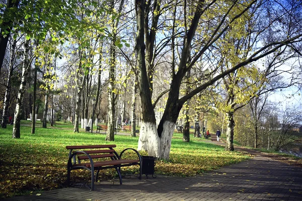 Şehrin Arka Planındaki Sonbahar Parkı Soyut Sonbahar Manzarası — Stok fotoğraf